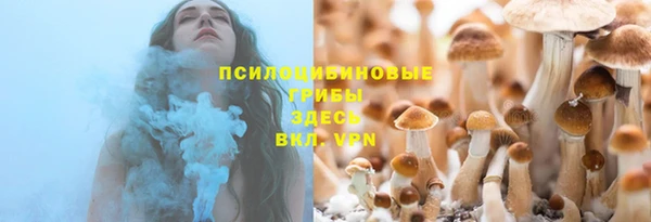 амф Арсеньев