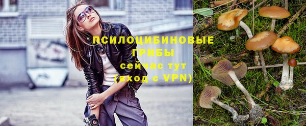 МДПВ Армянск